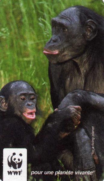WWf2